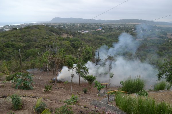 Burning yard waste